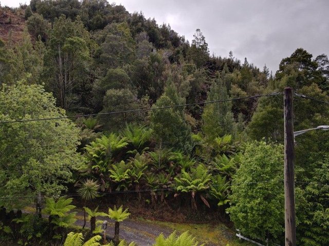 6 Arthur Street, TAS 7467