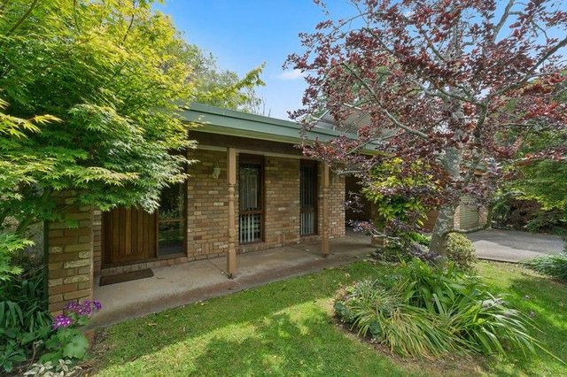 34 Tarrant Street, VIC 3266