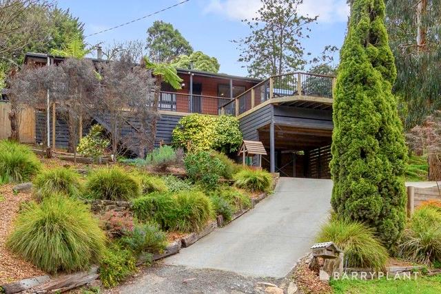 134 Quinn Crescent, VIC 3796