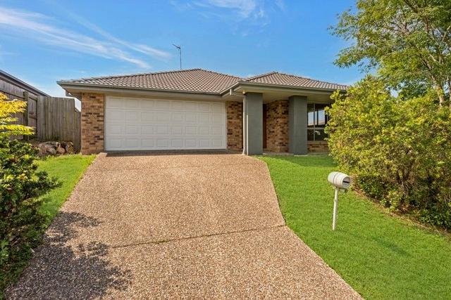 19 Filbert Street, QLD 4209