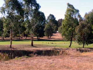 Golf course views