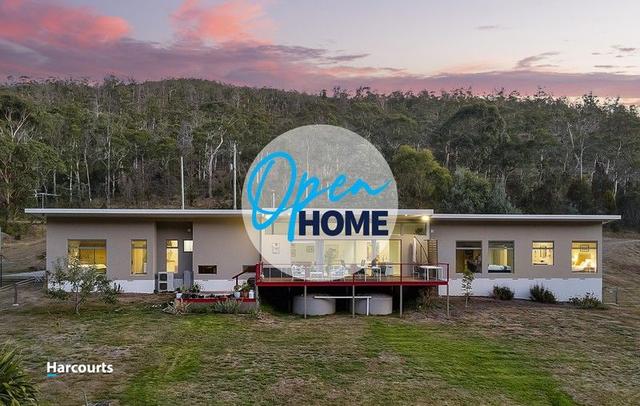 199 Turn Creek Road, TAS 7109