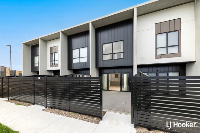 41/6 Inge King Crescent, ACT 2611