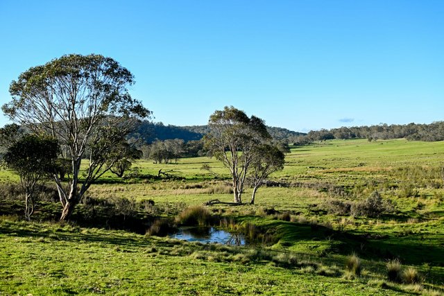 Lot 29 Kybeyan Road, NSW 2631