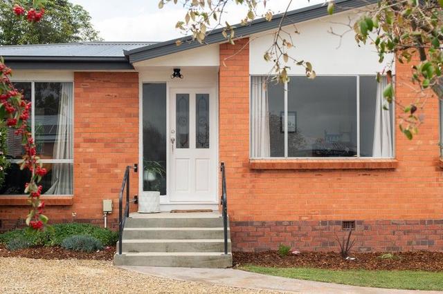 20 Harris Street, TAS 7250