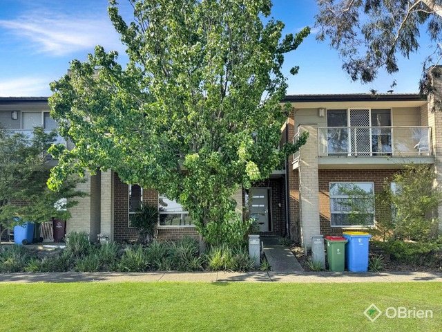50 Aleppo Place, VIC 3977