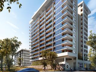 Day view from Gribble Street (2017-10-13)