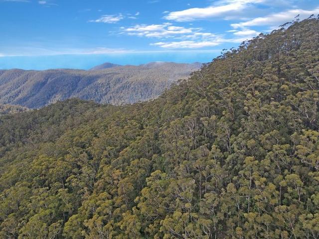 PID 7229246 Irish Town Road, TAS 7215