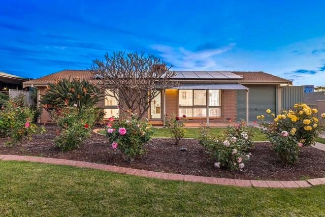 13 Elliott Avenue, SA 5096