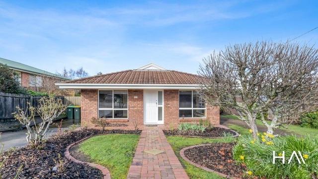 107 Mount Leslie Road, TAS 7250