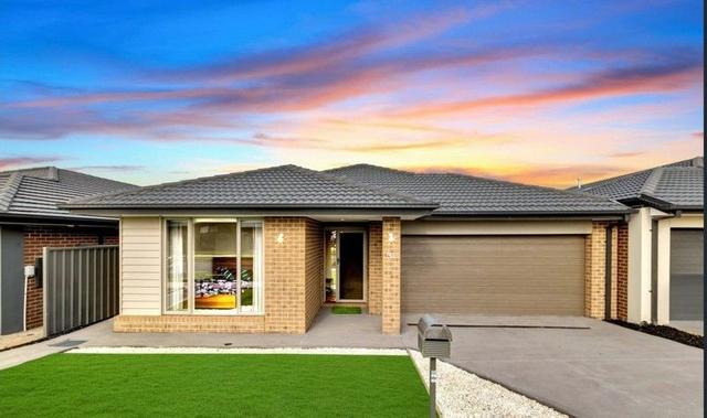 41 Conondale Avenue, VIC 3029