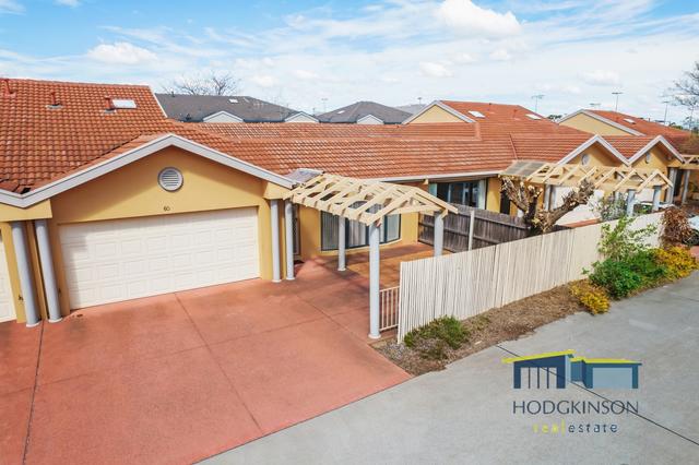 60/50 Ellenborough Street, ACT 2602