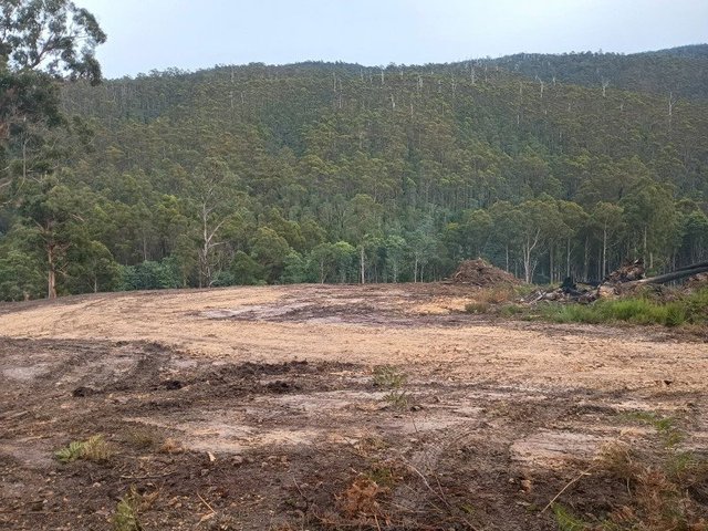 396 Garden Island Creek Road, TAS 7112