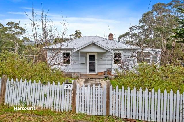 20 Hill Street, TAS 7116