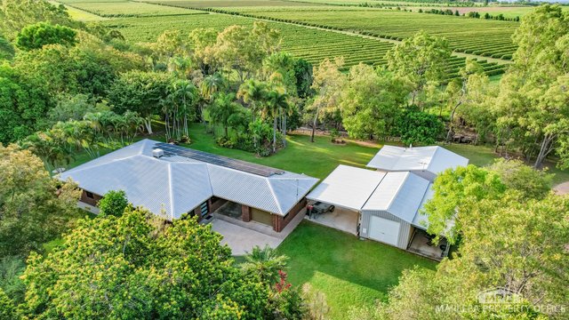 406 Springs Road Paddy's Green, QLD 4880