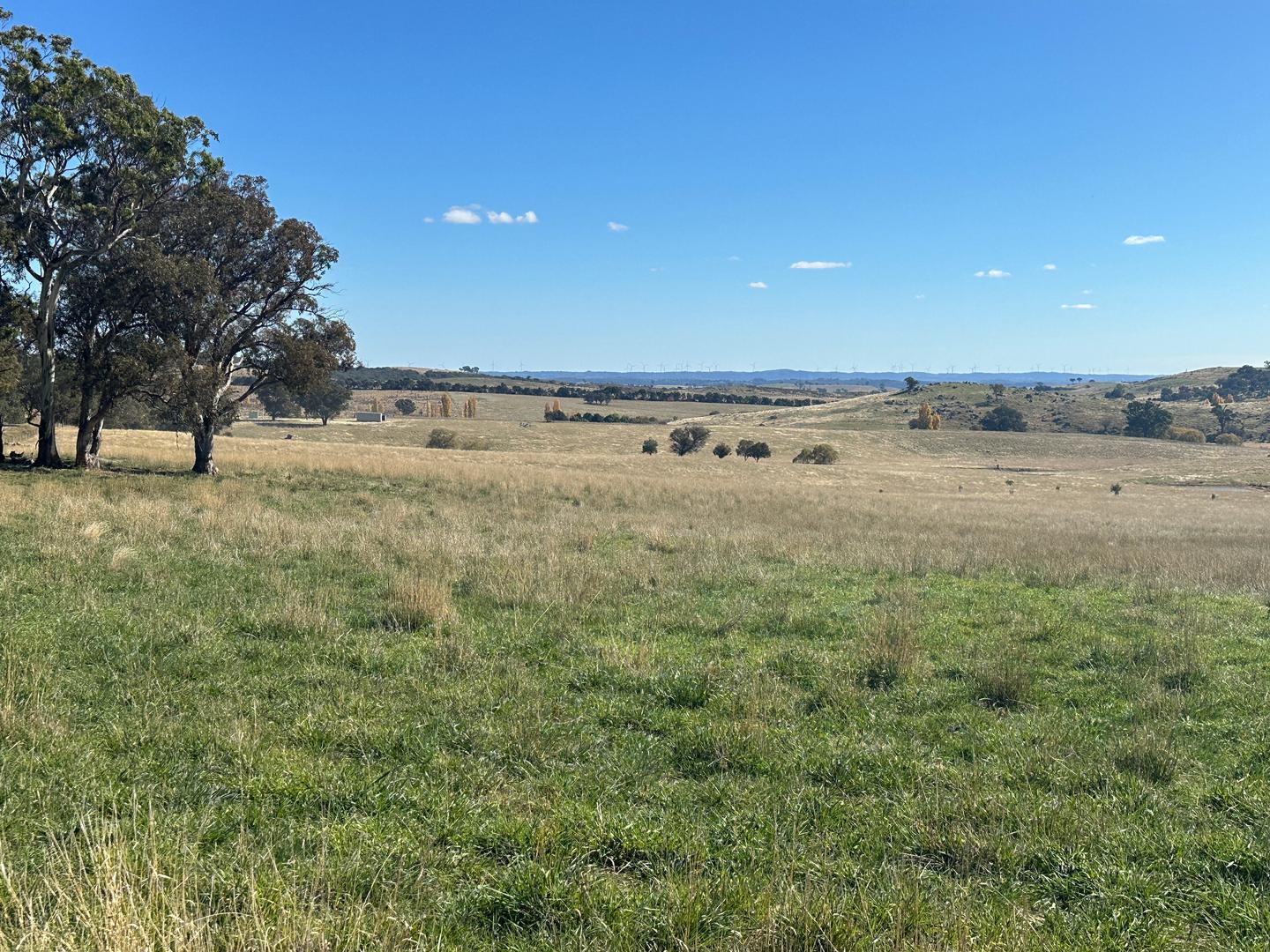 Old Biala Biala Road, Gunning NSW 2581 | Allhomes