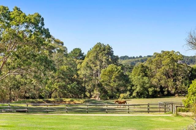 361 Main Creek Road, VIC 3928