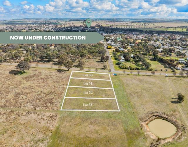 Donohoe's Estate - Stage 1 - Lot 53 Pudman Street, NSW 2586