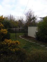 Backyard (2010-06-11)