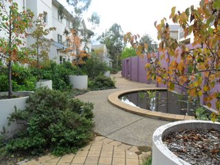 Complex Garden