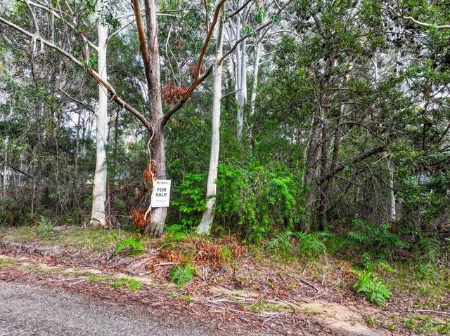 20 Dickenson Street, QLD 4184