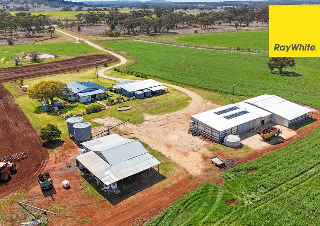 11 Delungra Bypass Road, NSW 2360