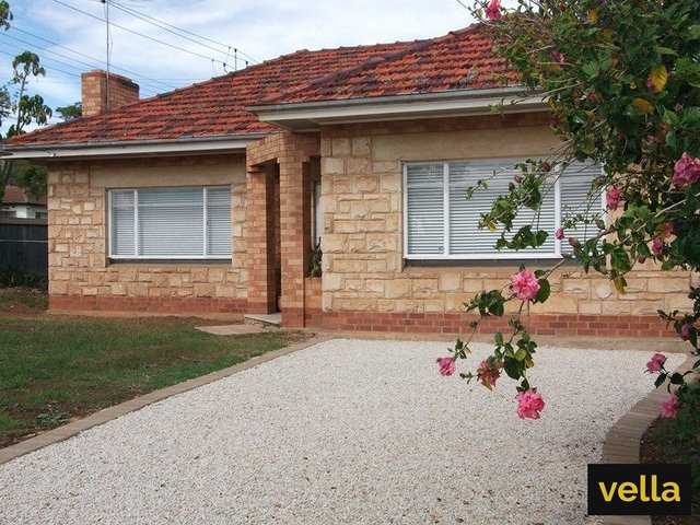 41 Angwin Avenue, SA 5082