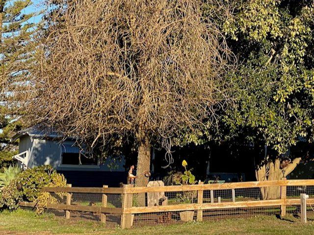241 Greenfields Road, WA 6255