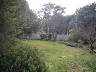 Rear yard (2010-08-23)