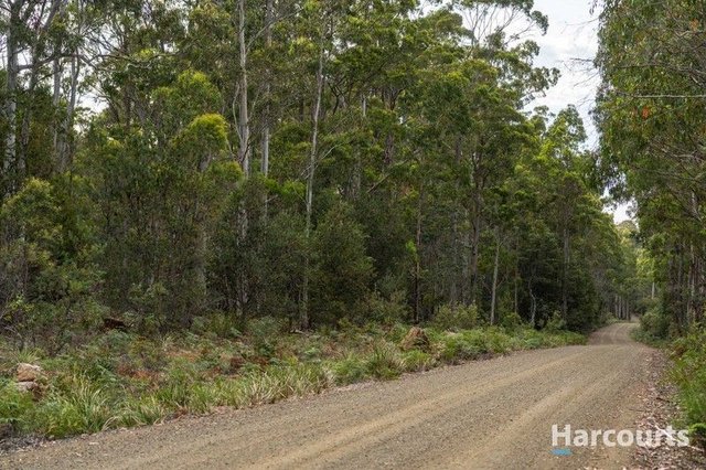 19 Saddlers Run Road, TAS 7304