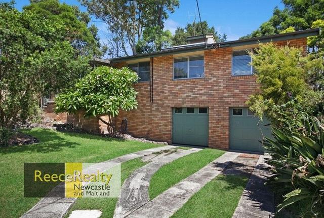 2a Hansen Place, NSW 2307