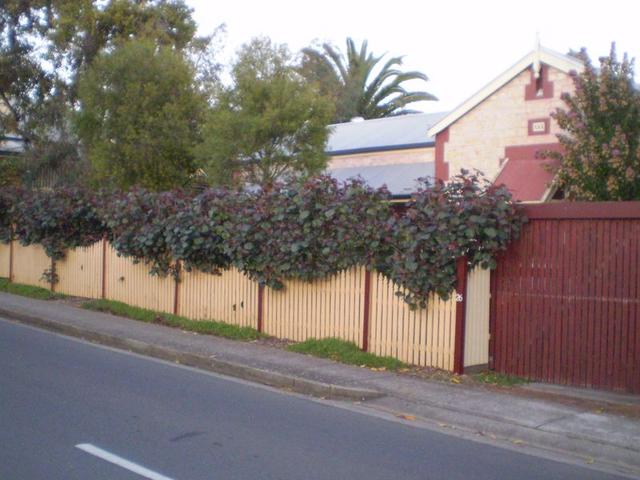 26 Daly Street, SA 5118