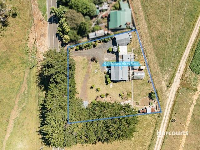 911 Mount Hicks Road, TAS 7325