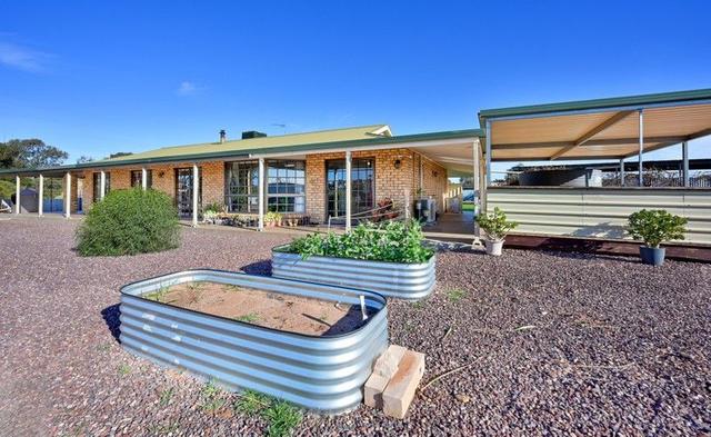 22 Landrace Road, SA 5608
