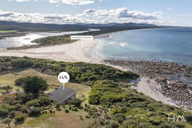1 Legge Street, TAS 7215