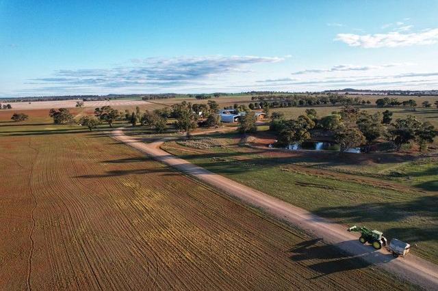 "Tamba" 1087 Burkes Road, NSW 2875