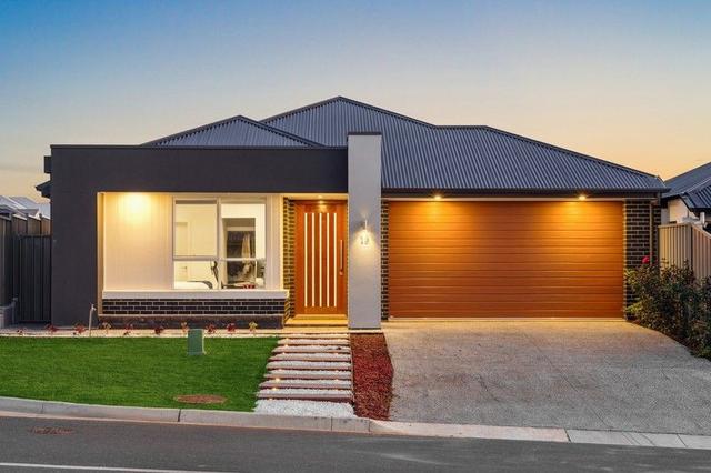 19 Willandra Street, SA 5169