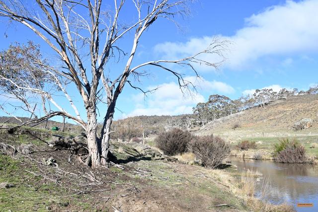 808 Jones Plain Road, NSW 2630