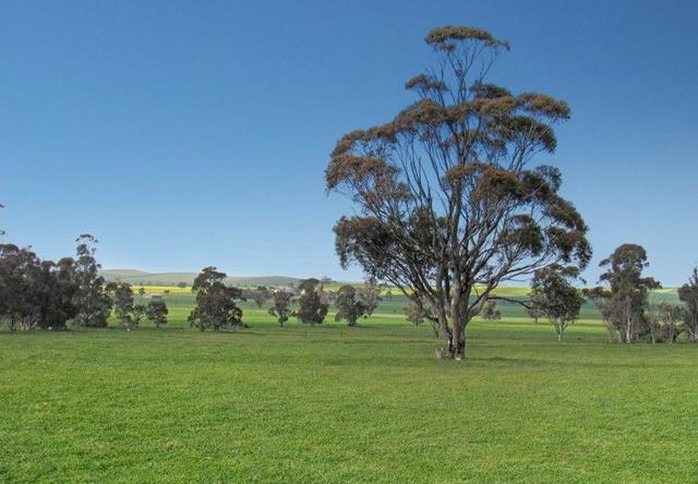 1392 Yongala Vale Road, SA 5422