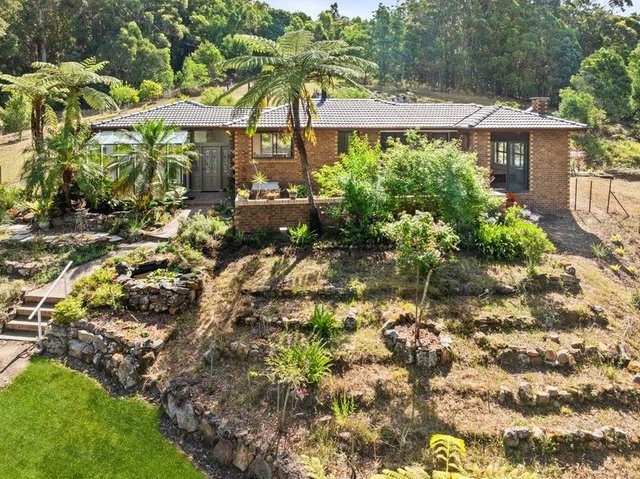 654 Ourimbah Creek Road, NSW 2258