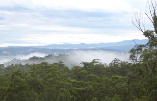Views (2008-03-25)