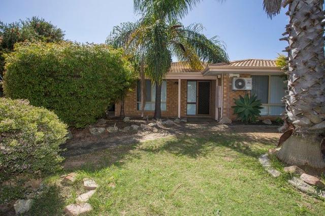 14 Jucara Mews, WA 6169