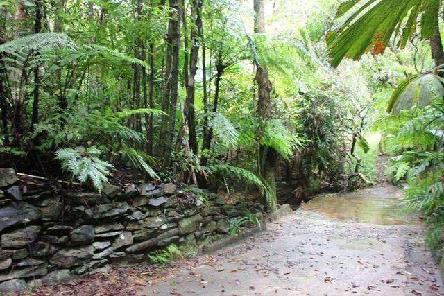 252 (Lot 25) Forest Creek Road Forest Creek, QLD 4873
