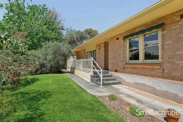 31A Brigalow Avenue, SA 5068