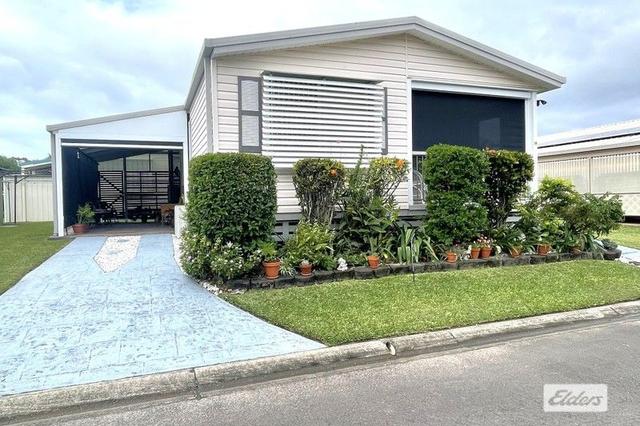 Ibis Boulevard, QLD 4655