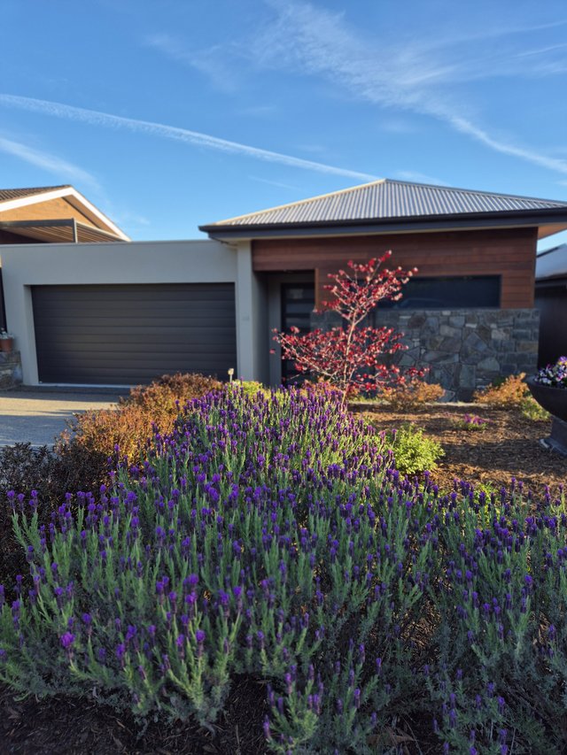 1/68 Gouger Street, ACT 2607