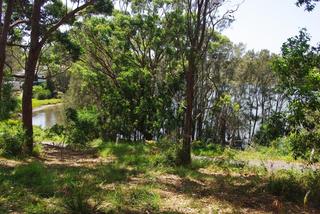 Lake Views (2011-02-10)