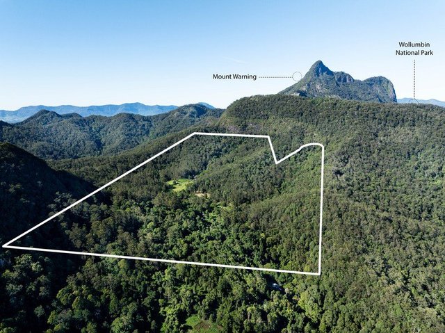 197 Tree Fern Road, NSW 2484