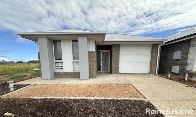 3 Shannon Place, SA 5120