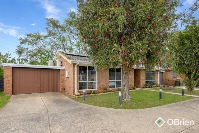 8/59 Elizabeth Street, VIC 3915